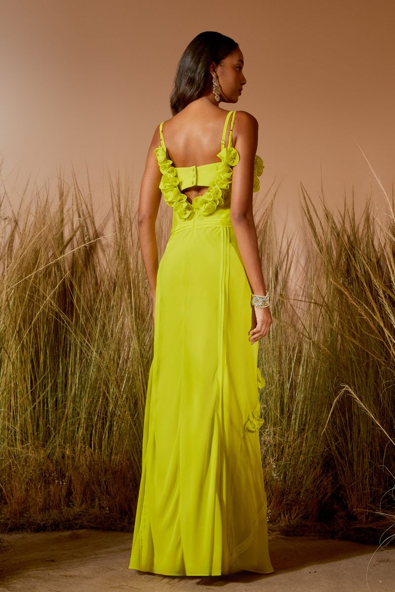 IMAGEM3